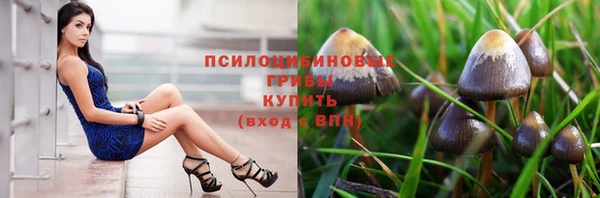 ALPHA PVP Нязепетровск