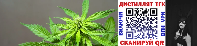 Купить закладки  Саянск  Дистиллят ТГК гашишное масло 